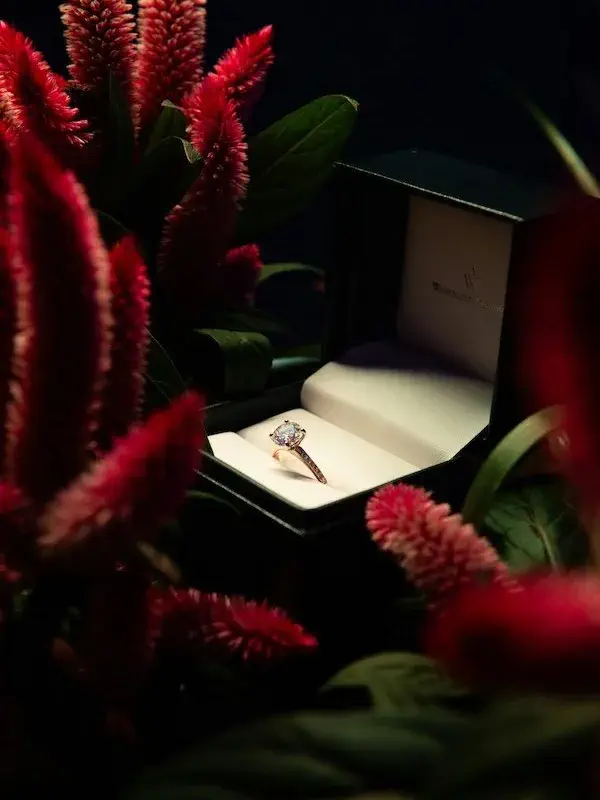 view of engagement ring in a box
